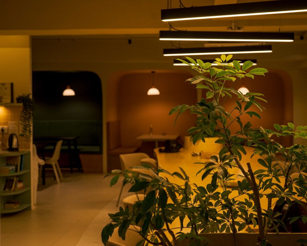 Modern office reception and meeting area